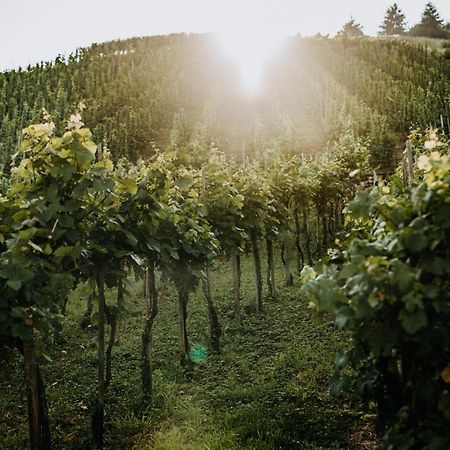 Appartamento Weingut Meurer Reil Esterno foto